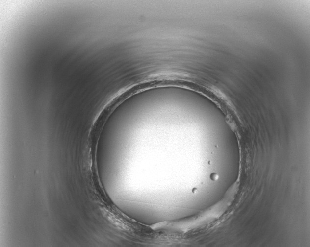 X0000068260973200605051745