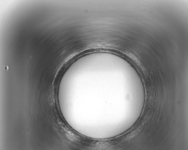 X0000068260974200605051745