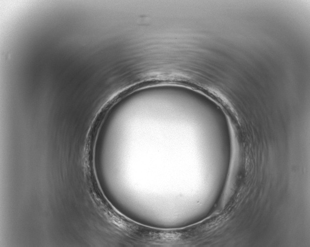 X0000068260975200605051745