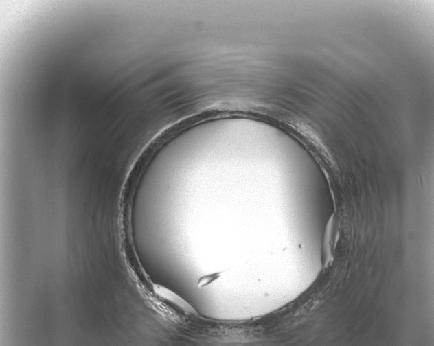 X0000068260976200605051745