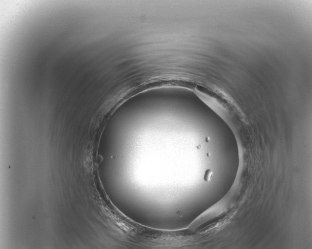 X0000068260977200605051745