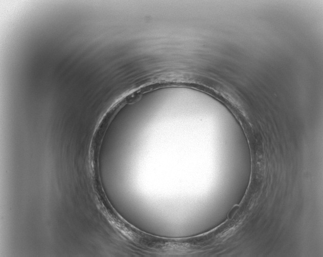 X0000068260981200605051745