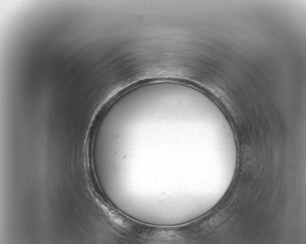 X0000068260982200605051745