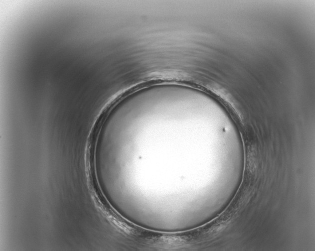 X0000068260983200605051744