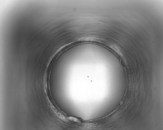 X0000068260984200605051744