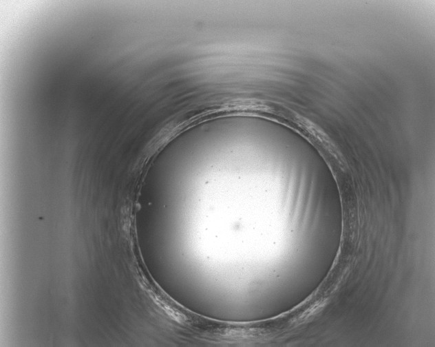 X0000068260985200605051744