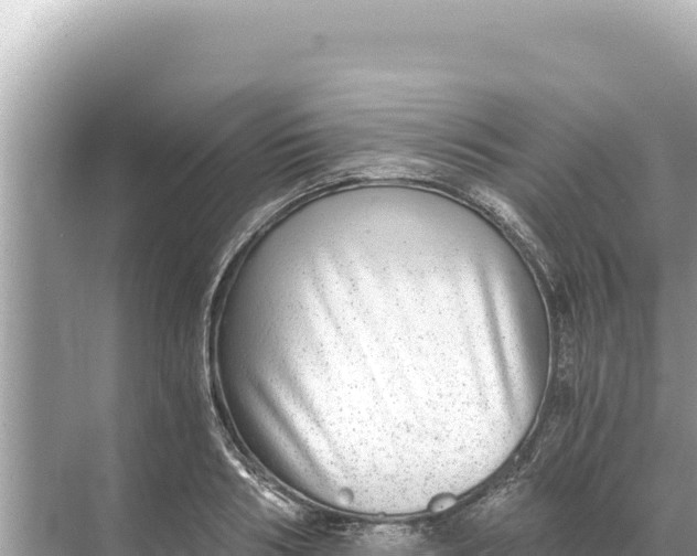 X0000068260986200605051744