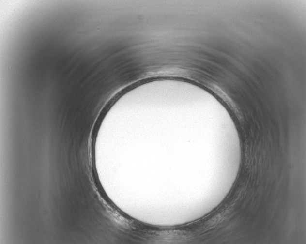 X0000068260988200605051744