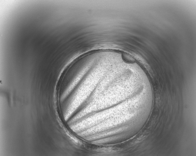 X0000068260990200605051744