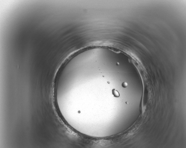 X0000068260992200605051744