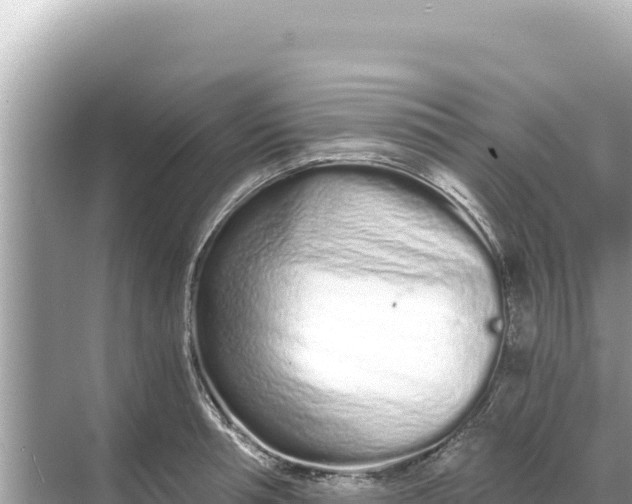 X0000068260994200605051744