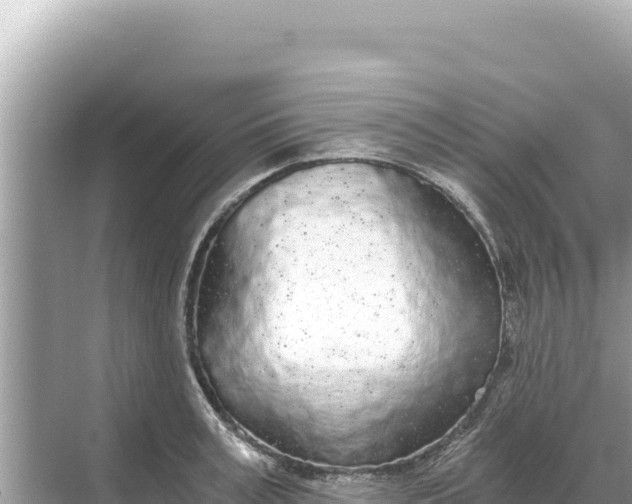 X0000068260995200605051744