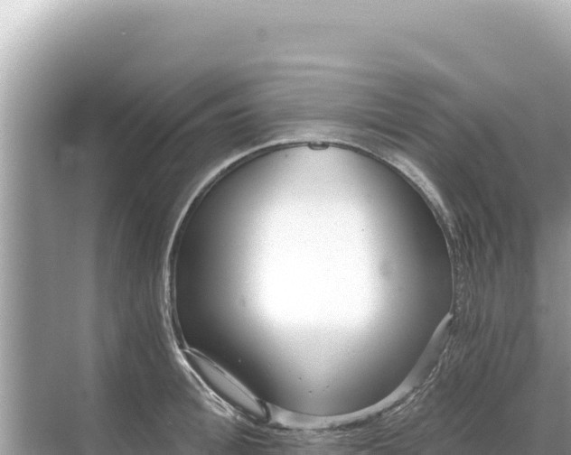 X0000068260996200605051744