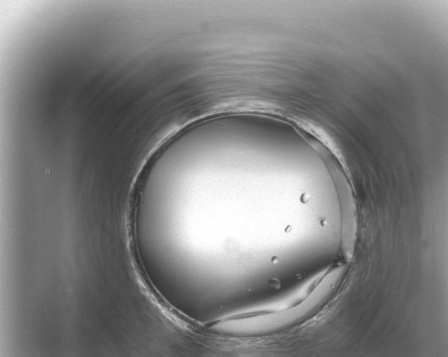 X0000068260997200605051744