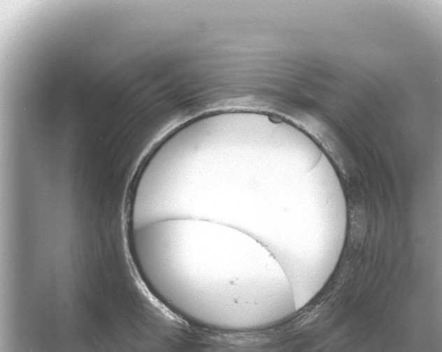 X0000068260998200605051744