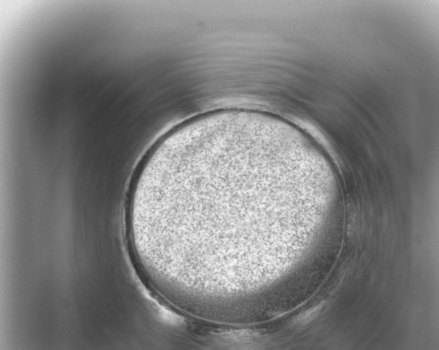 X0000068260999200605051744