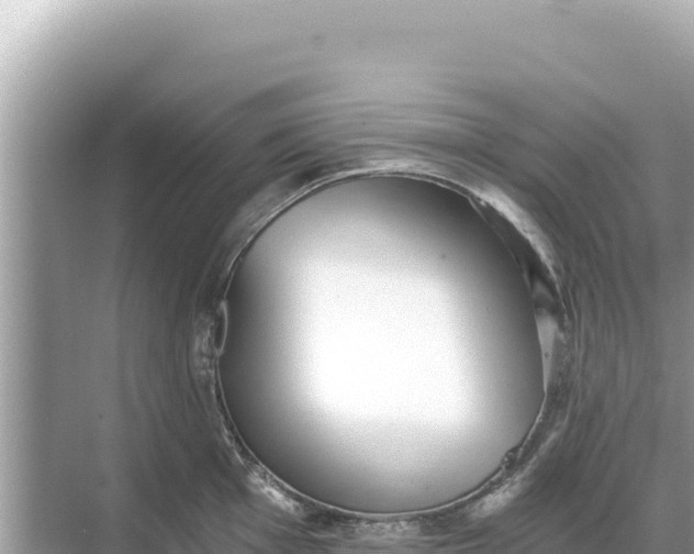 X0000068261001200605051744