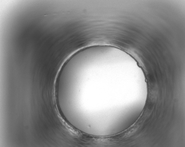 X0000068261004200605051744