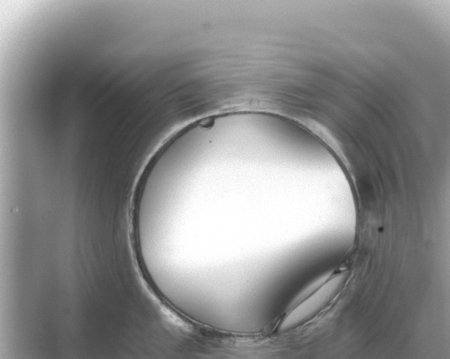 X0000068261005200605051744