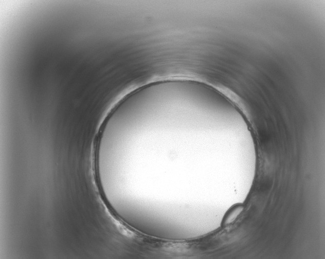 X0000068261006200605051744