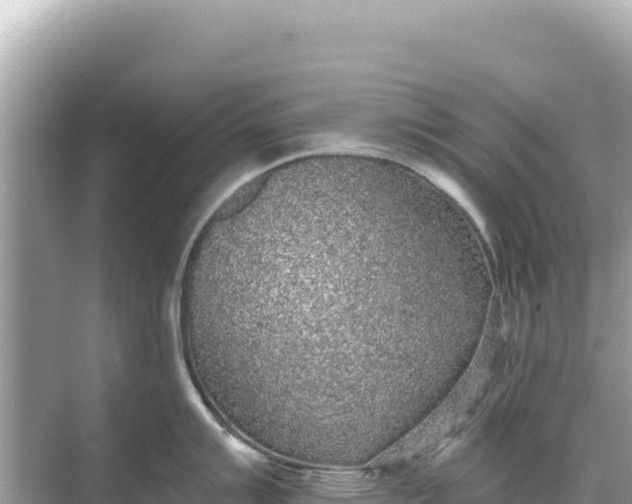 X0000068261007200605051744