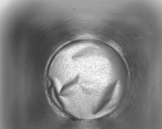 X0000068261008200605051744