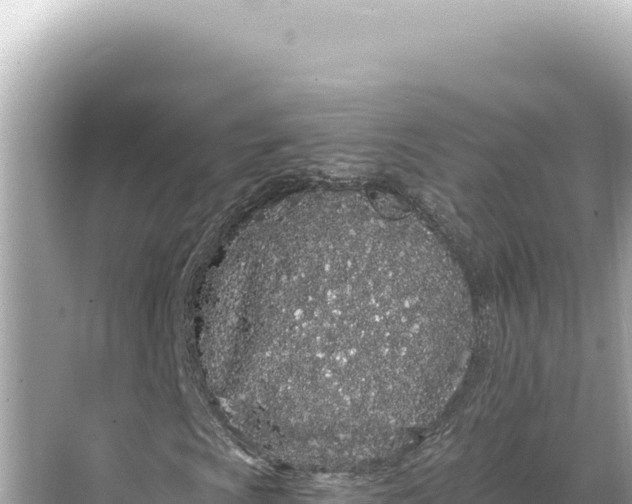 X0000068261009200605051743