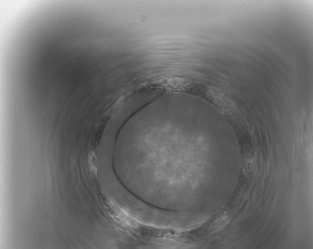 X0000068261010200605051743