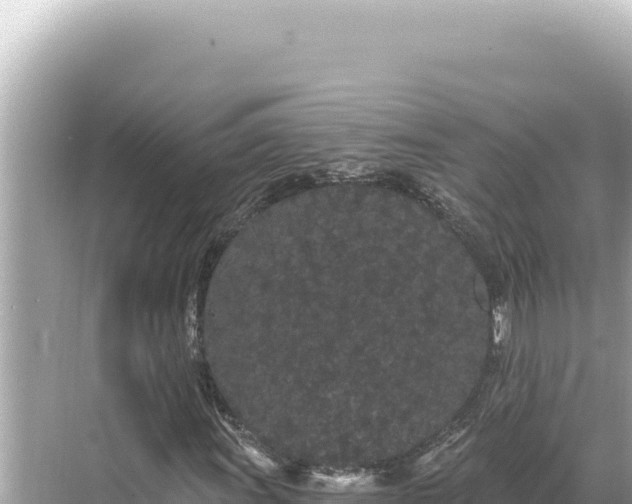 X0000068261011200605051743