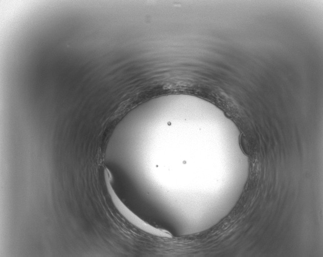 X0000068261012200605051743