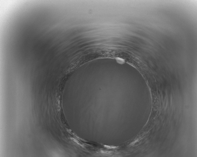 X0000068261013200605051743