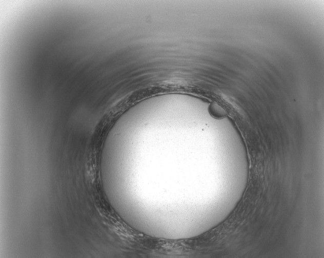 X0000068261015200605051743