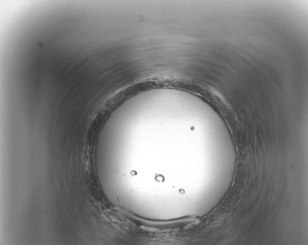 X0000068261016200605051743