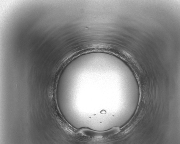 X0000068261017200605051743