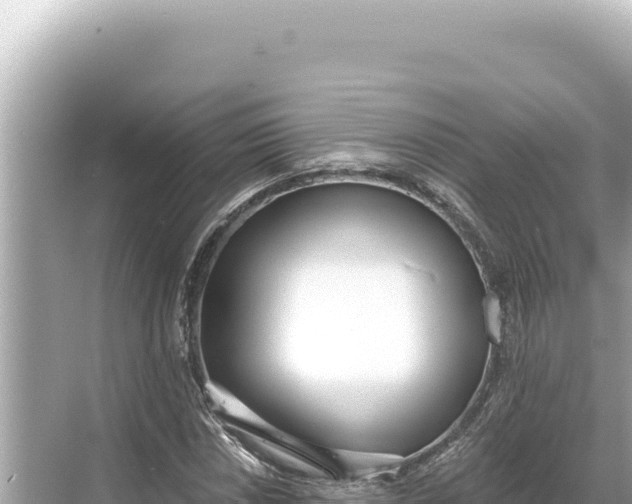 X0000068261018200605051743