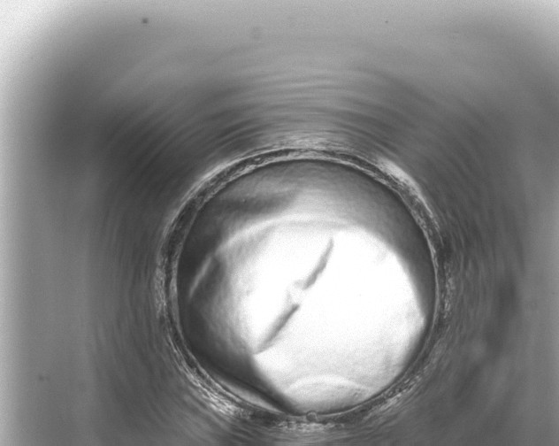 X0000068261019200605051743