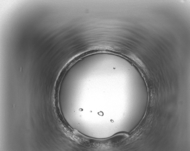 X0000068261020200605051743