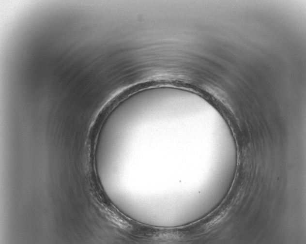 X0000068261021200605051743