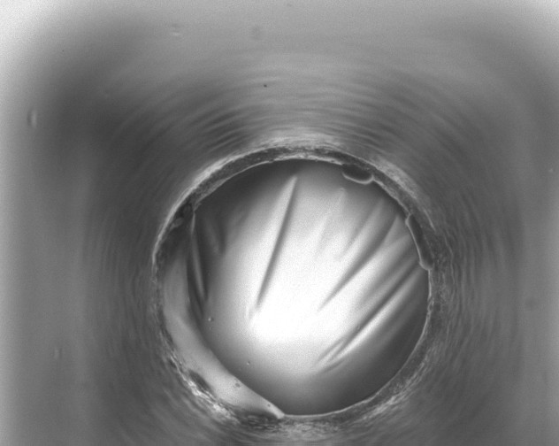 X0000068261022200605051743