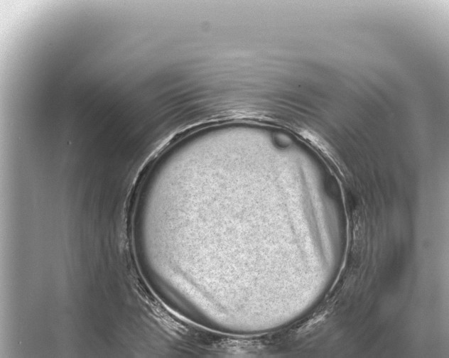 X0000068261023200605051744