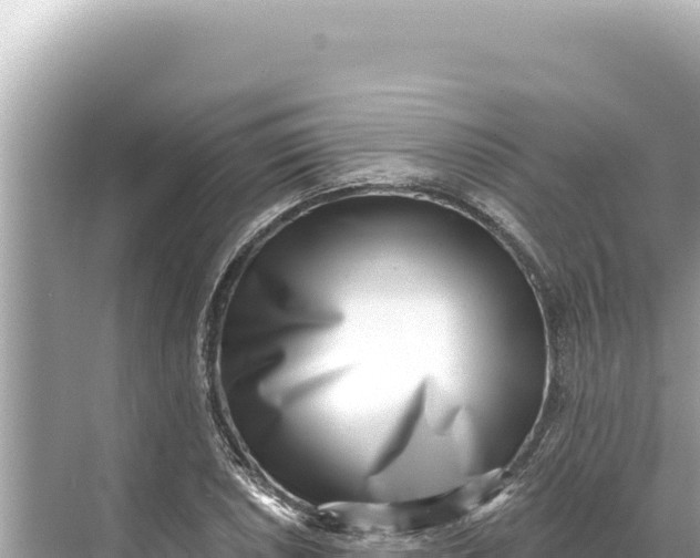 X0000068261026200605051744