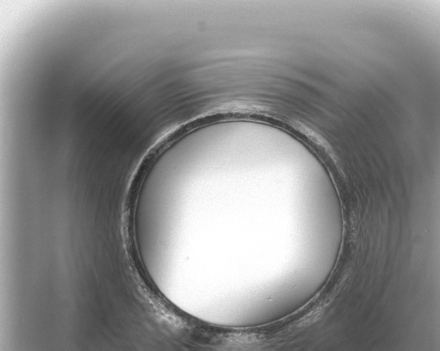 X0000068261029200605051744