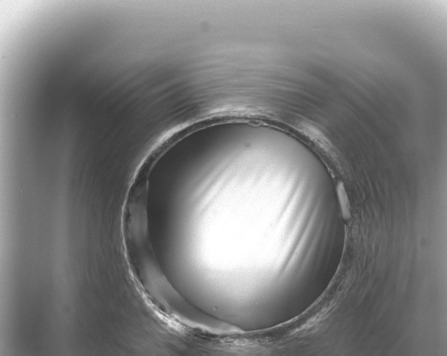 X0000068261030200605051744