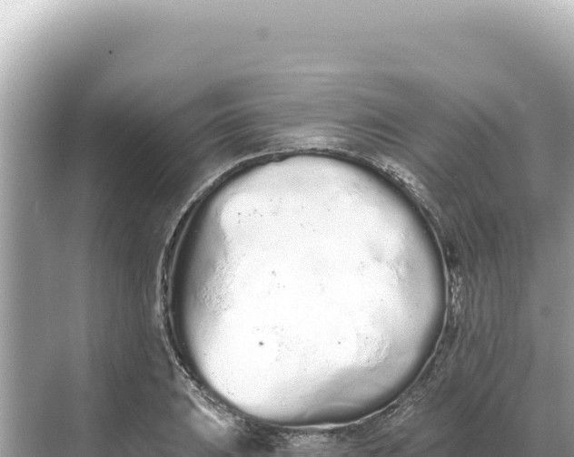 X0000068261031200605051744