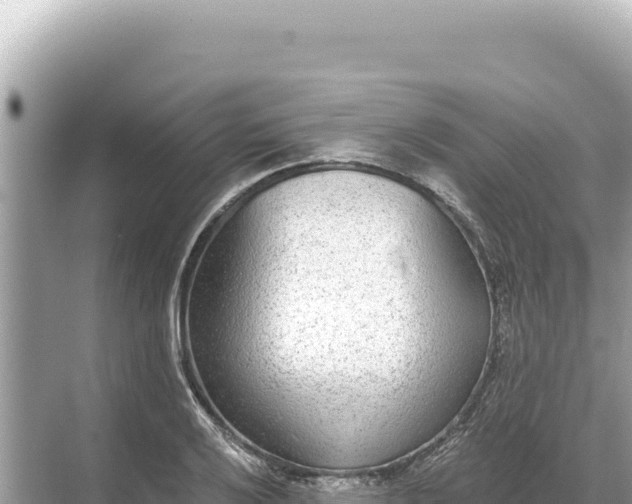 X0000068261032200605051744