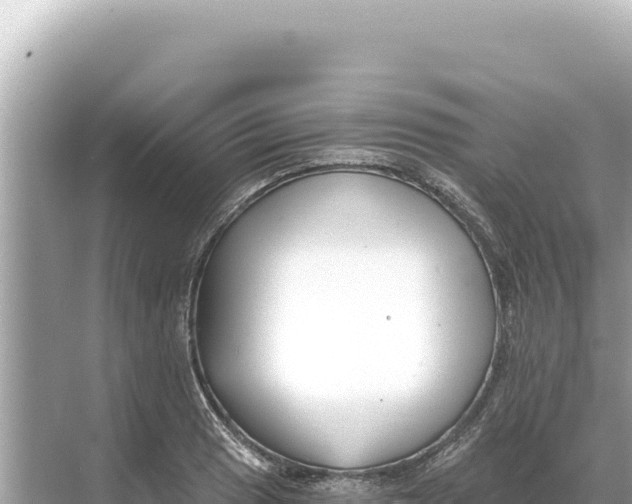 X0000068261033200605051744