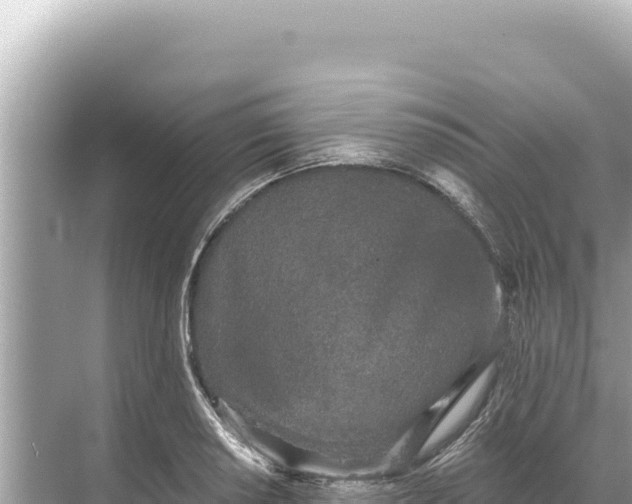 X0000068261034200605051744