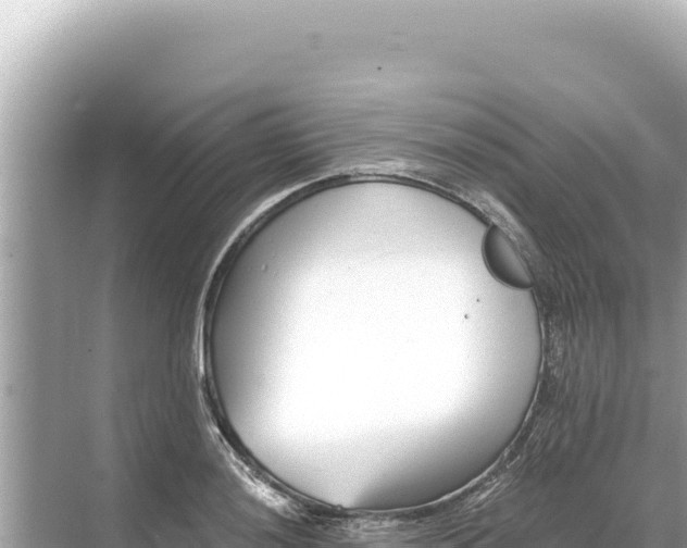 X0000068261036200605051744