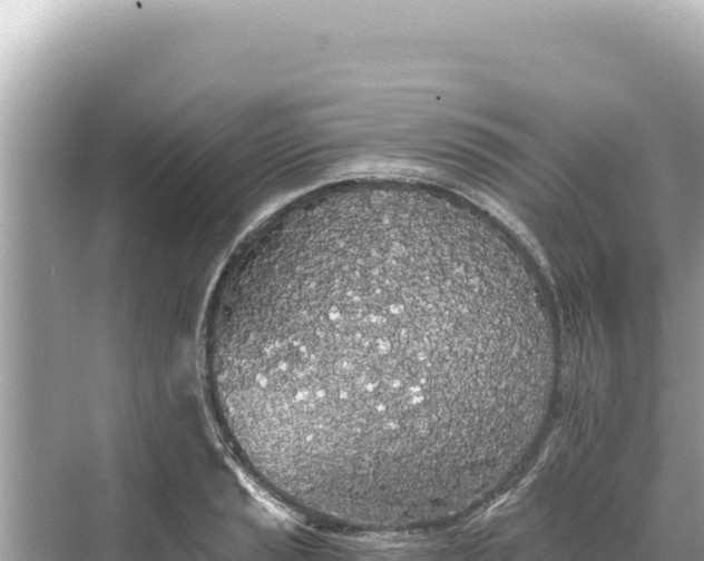 X0000068261037200605051744