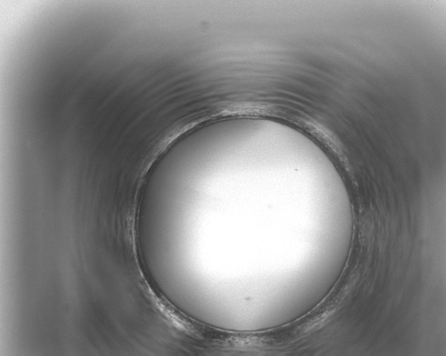 X0000068261041200605051744